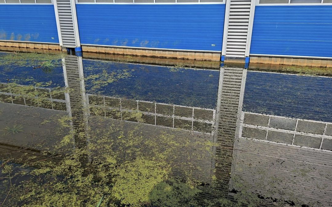 Waterplanten campagne start op 15 juni