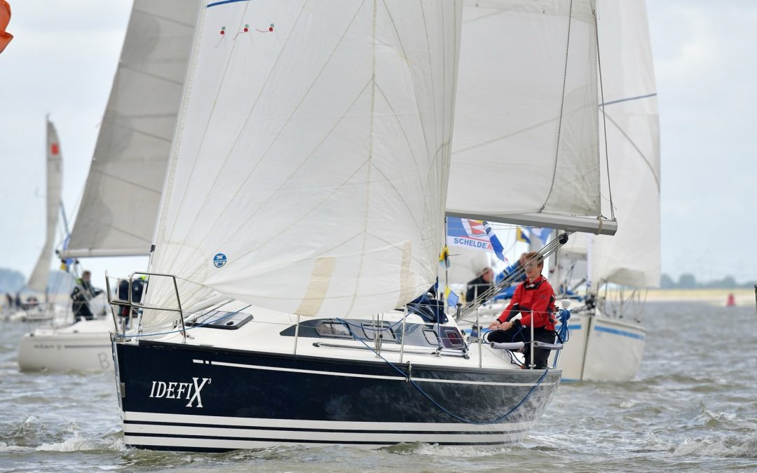 Schelderegatta in teken van Tall Ships Races in Antwerpen
