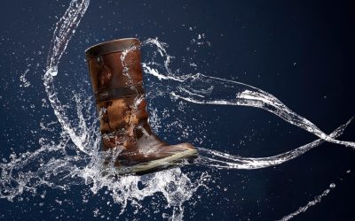 Dubarry Ultima zeillaarzen naar Belgische winnaar